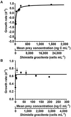 Interactions Between the Kleptoplastidic Dinoflagellate Shimiella gracilenta and Several Common Heterotrophic Protists